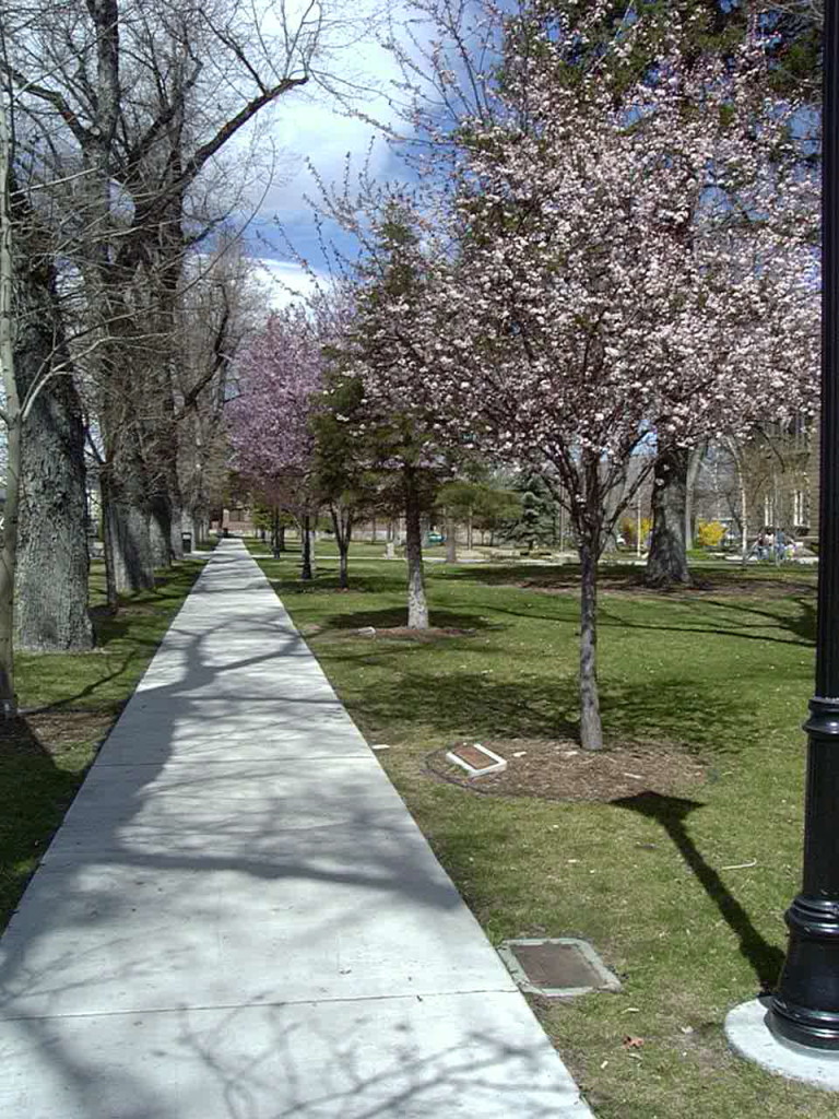 Carson City in the spring