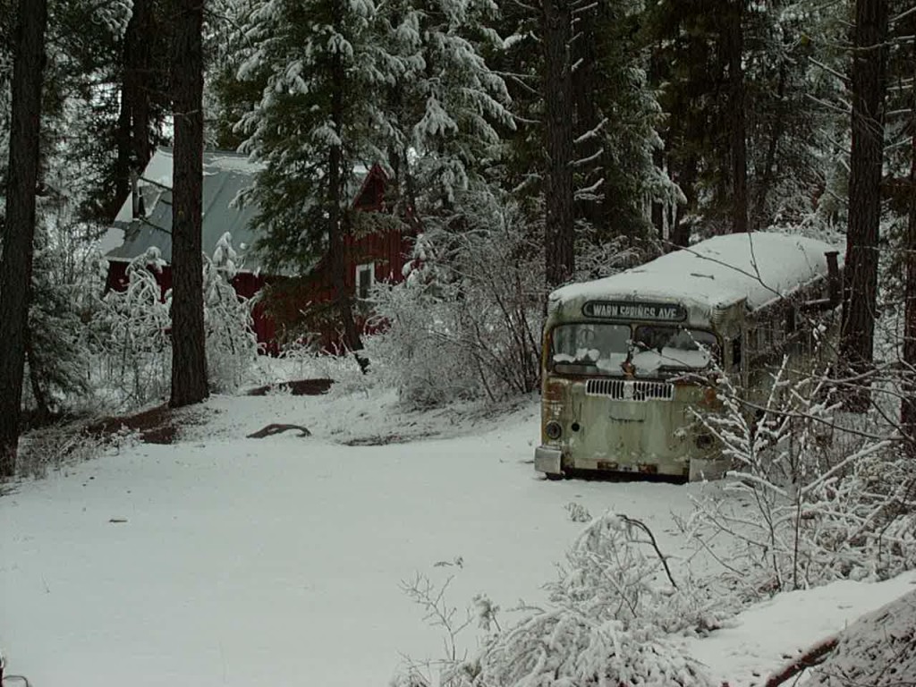 Warm Springs?  I wish.  Near Stanley, ID.