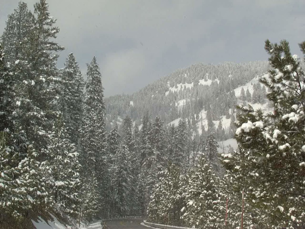 Near Beaver Creek Summit