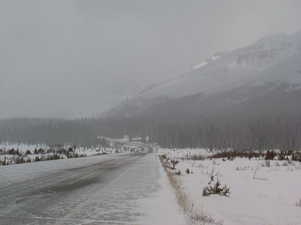 Snowy conditions just North of Mosquito Lakes Hostel.