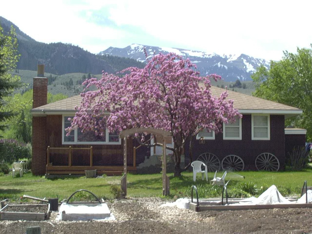 Cody, WY house.