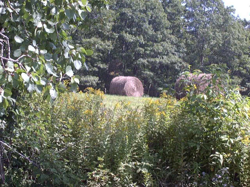Maryland hay bales