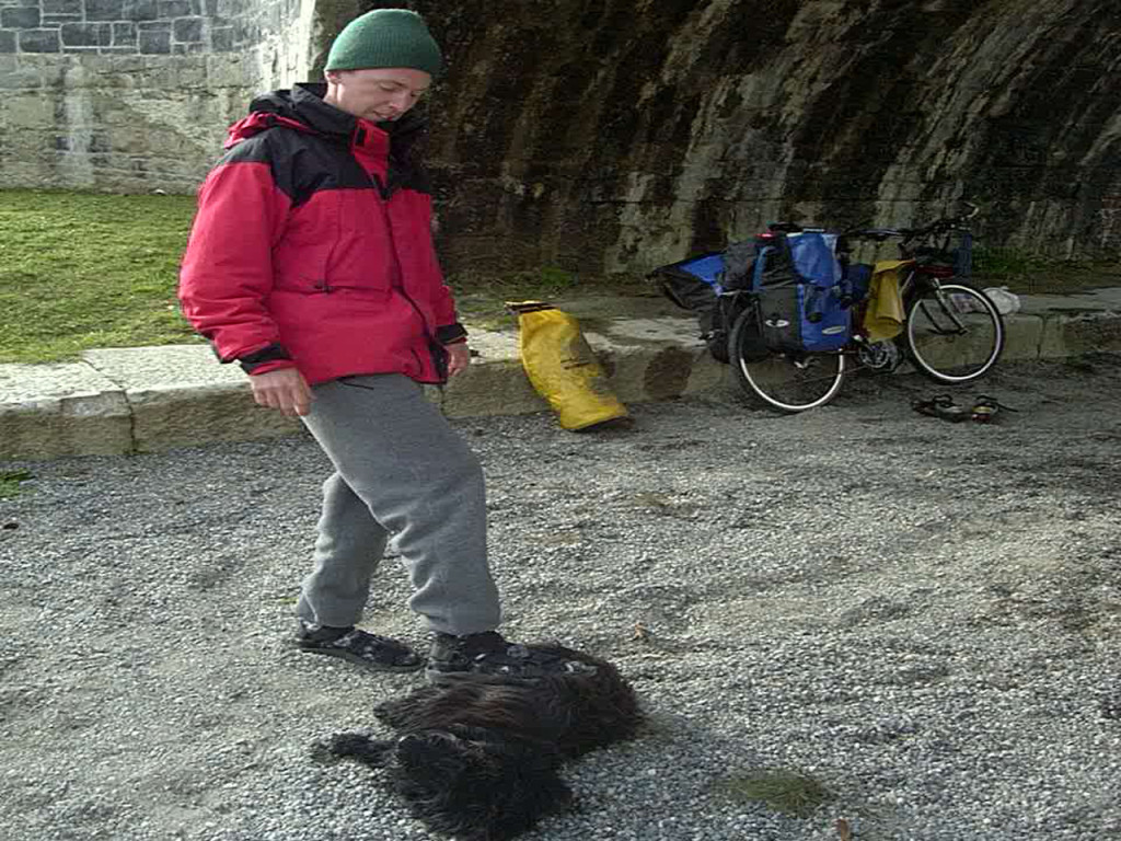 This dog followed us for almost an entire day. Near Portarlington, Ireland.