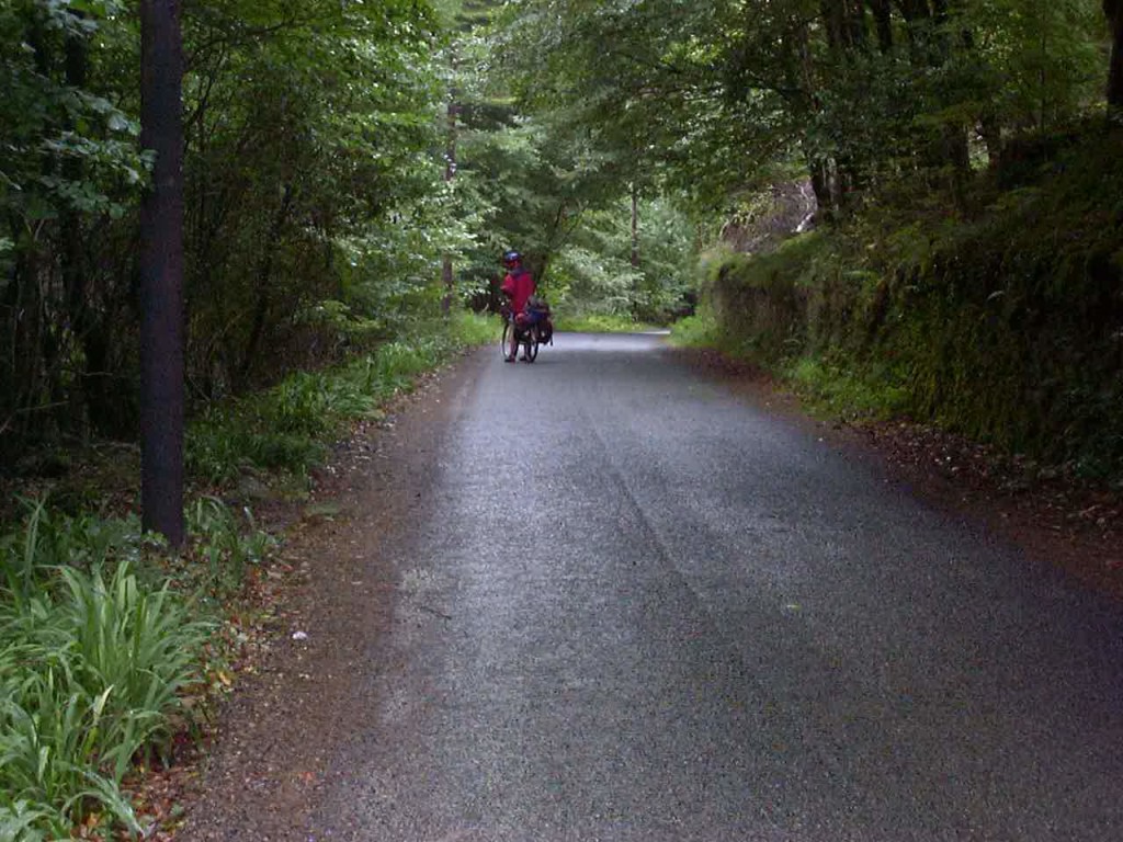 In the Kinnitty Forest. Great riding!