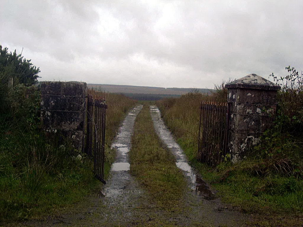 Near Porturona Forest Park