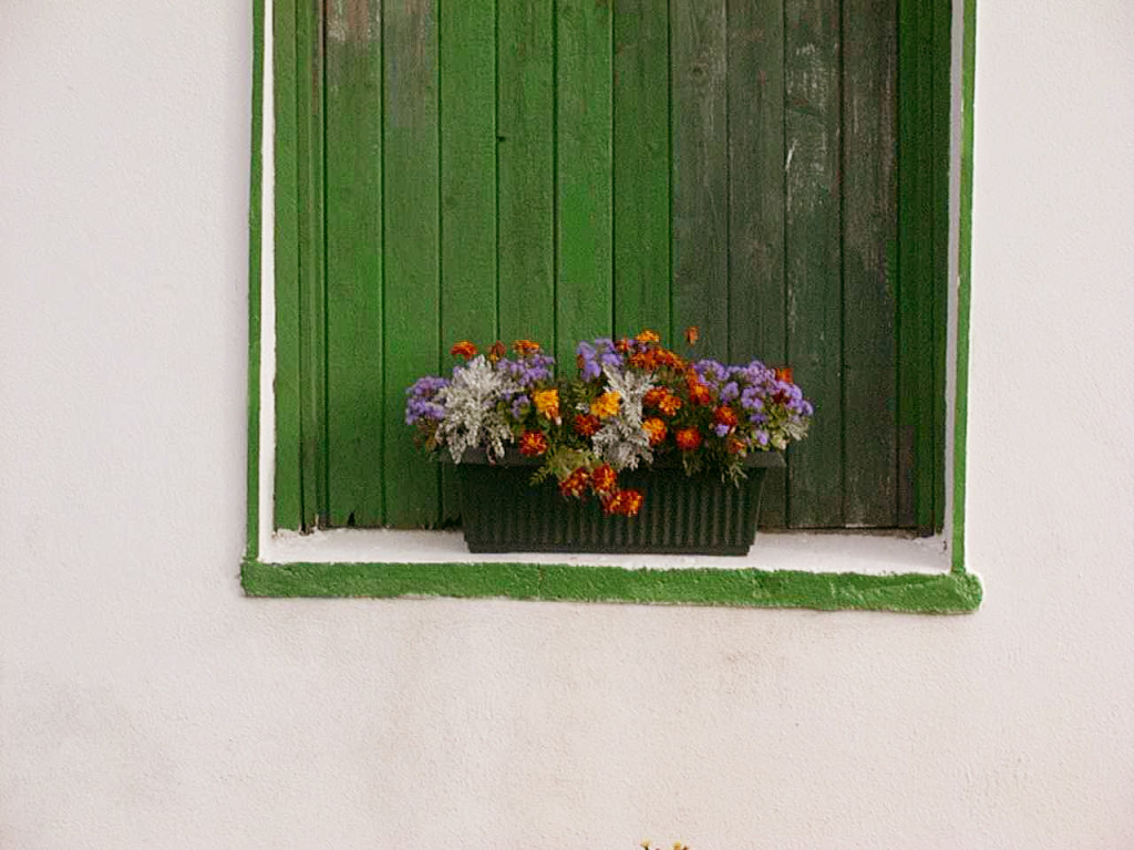 Near Ballina Ireland
