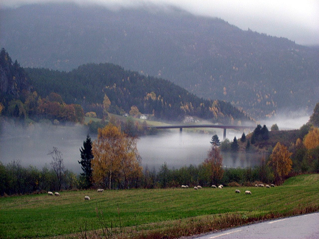 Kviteseidvatnet
