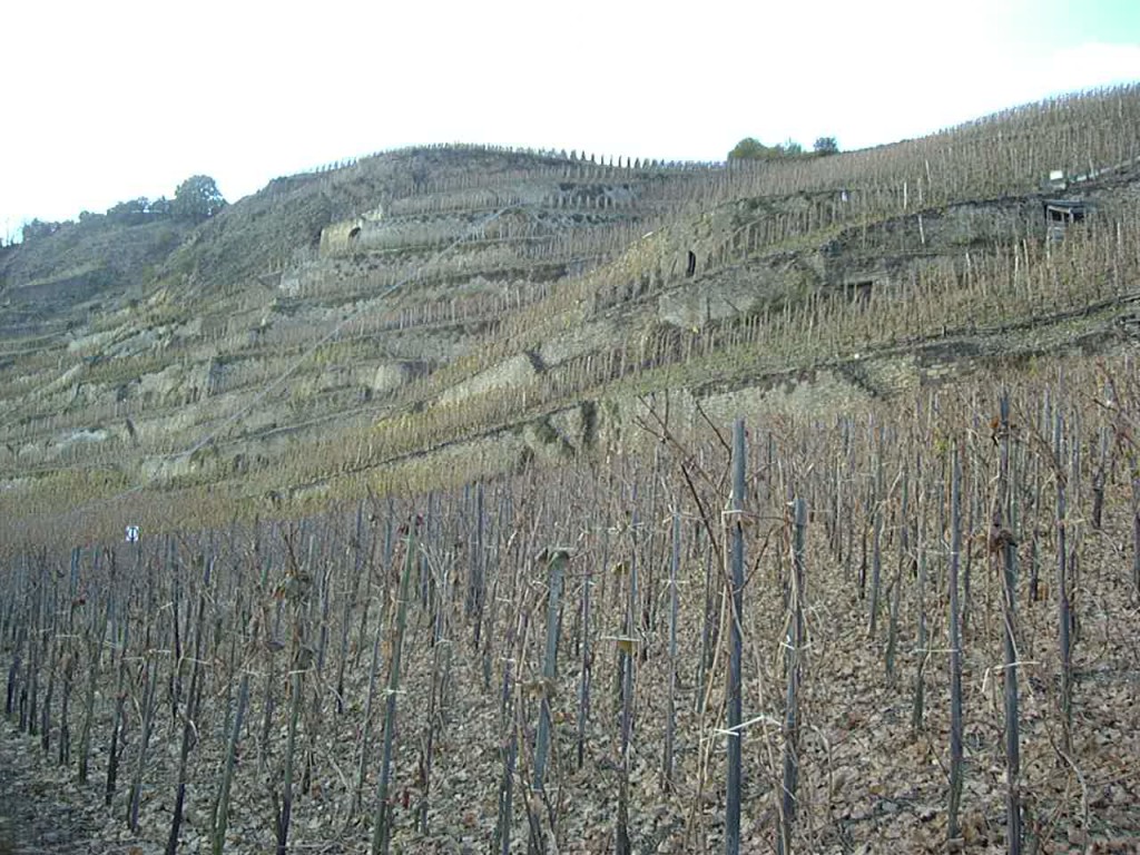 Near Moselle river.