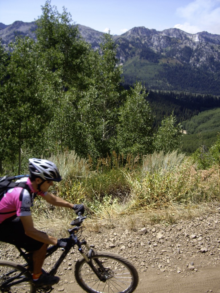 Ascend Big Cottonwood Canyon road, and exit for Wasatch Crest Trail (comes before Guardsman pass)