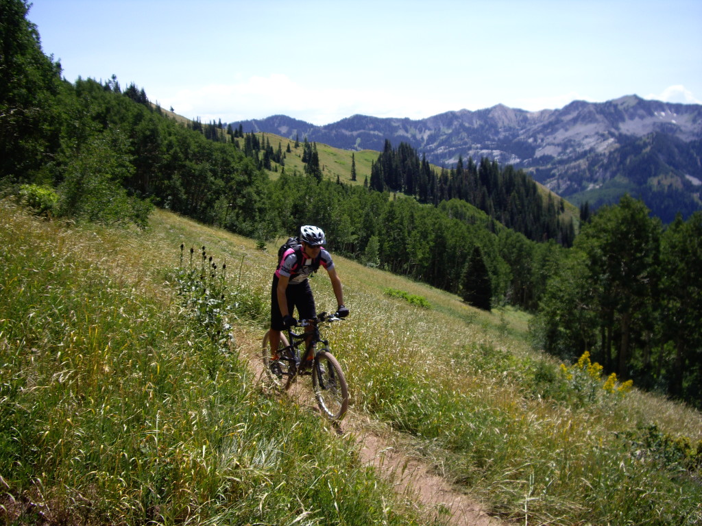 Wasatch Crest Trail has great views!