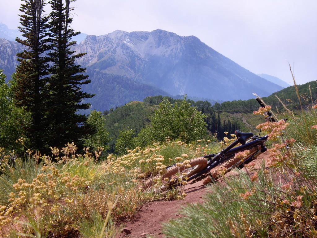 Wasatch Crest Trail