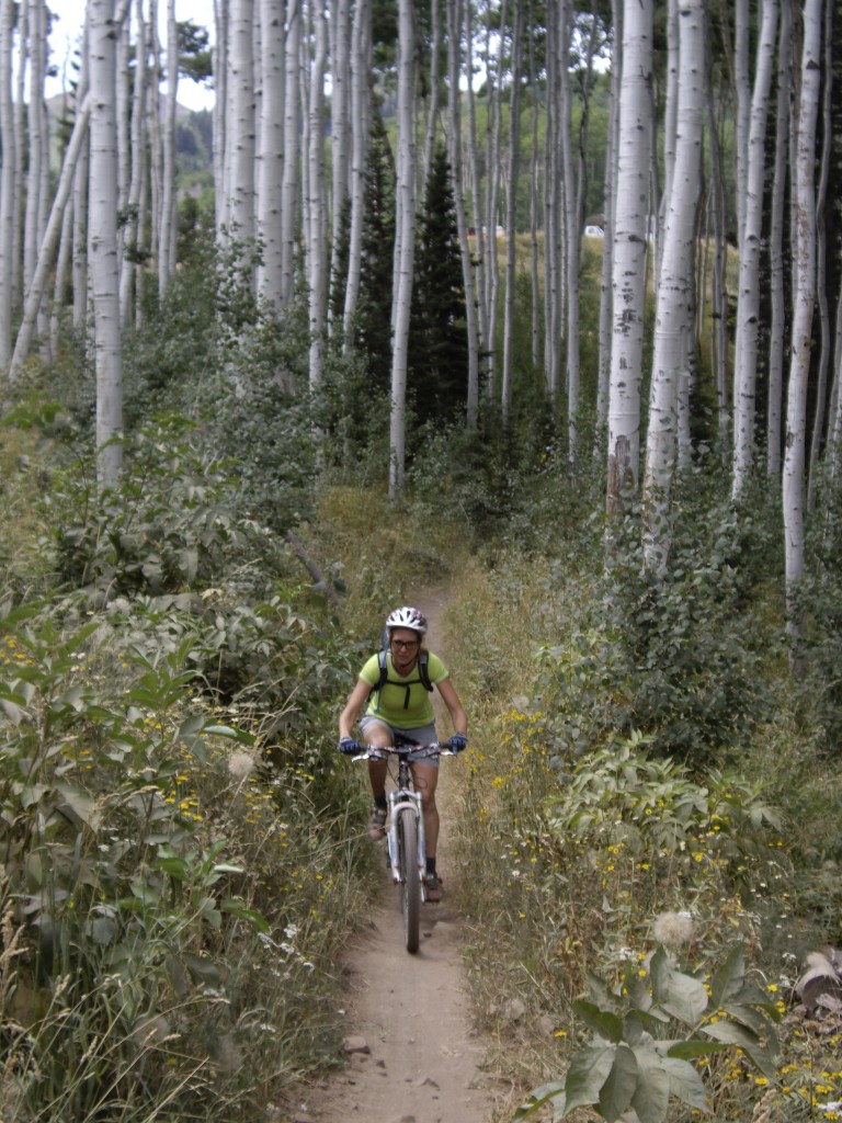 As you continue on the Spiro Trail, you begin riding through the Aspens