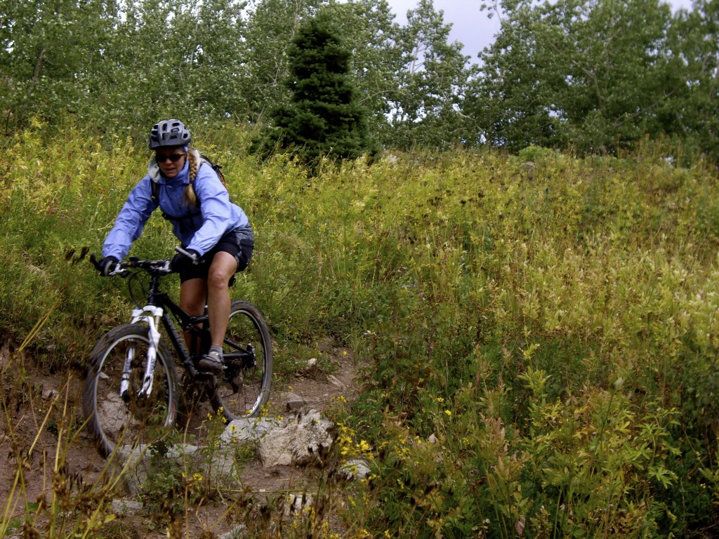 Some small challenges on Dyke Trail