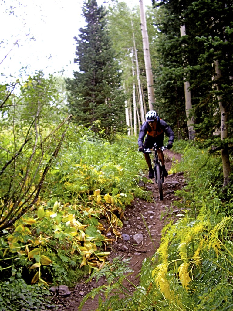 Some small challenges on Dyke Trail