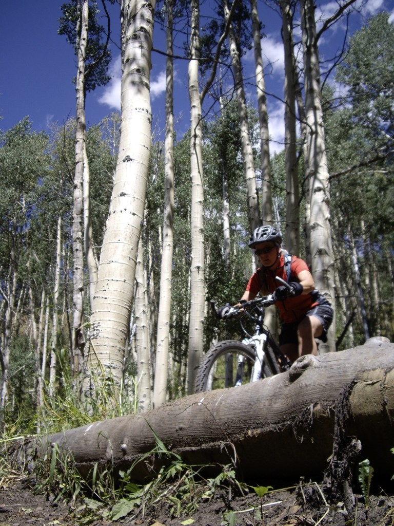 Deer Creek Trail Challenge section.