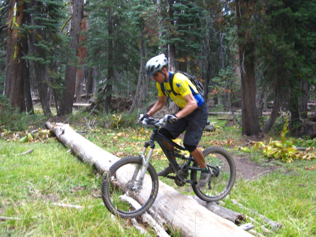 Eagle Creek Trail log overs