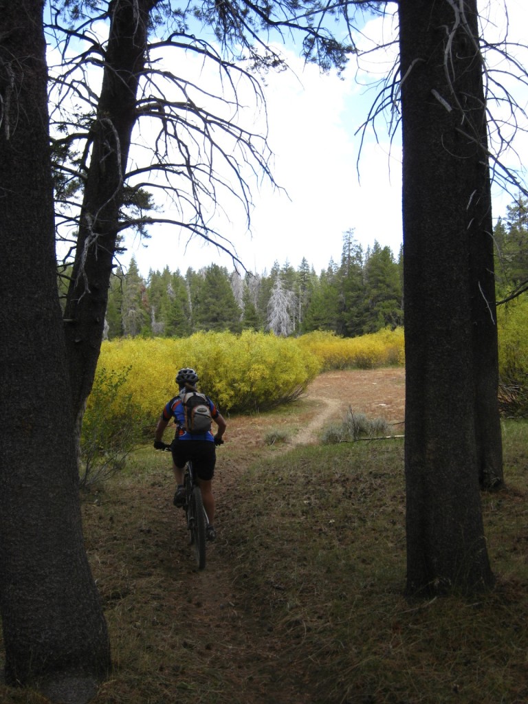Eagle Creek Trail Beauty!