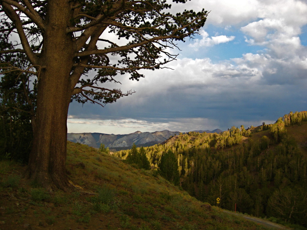 Some nice views up near the top of Hwy 108