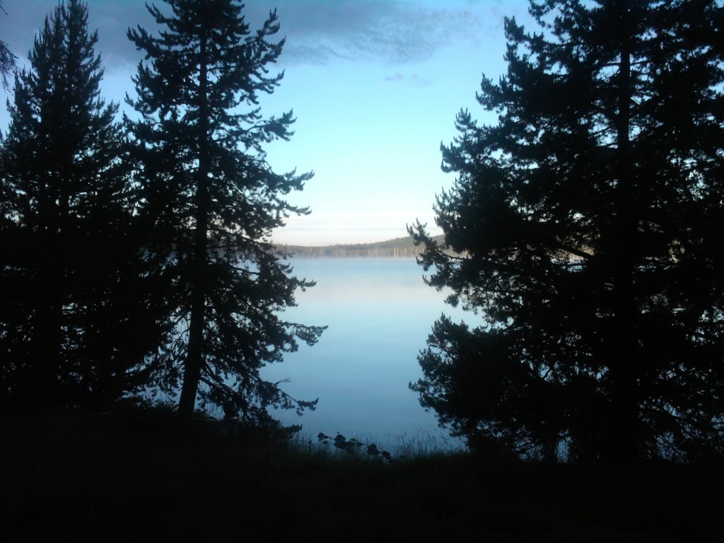 Photo-0277