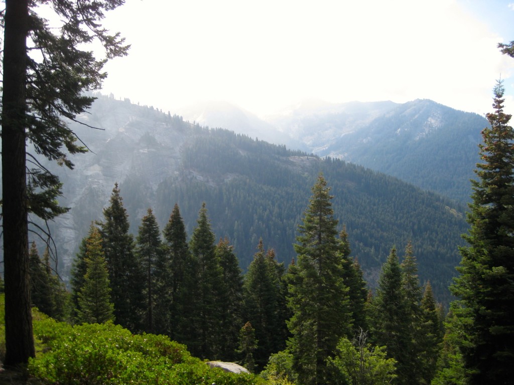 Back up on the ridge, this is the view from the Campsite near Bearpaw Meadow.