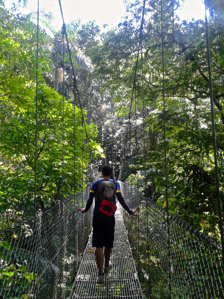 View on the hanging bridges of Arenal