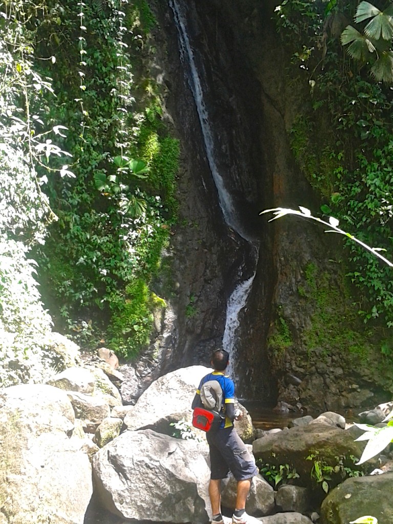 Hiking along the hanging bridges of Arenal