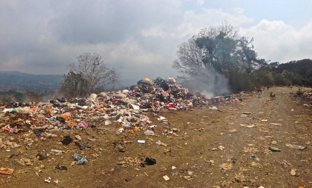 Dogs swarming trash piles as seen on the road from Santa Maria de Jeus to Palin