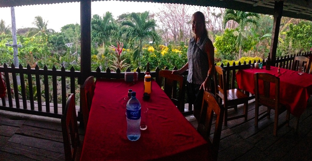 View from the veranda at Finca Magdalena