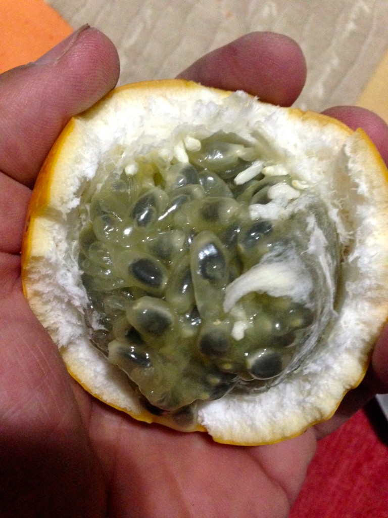 Granadillo, or "sweet passion fruit." It's an unexpected treat!