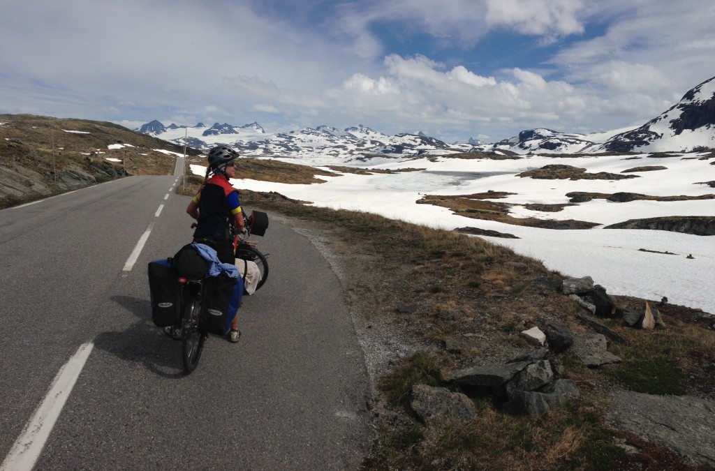 At the higher elevations, you'll pass through tundra