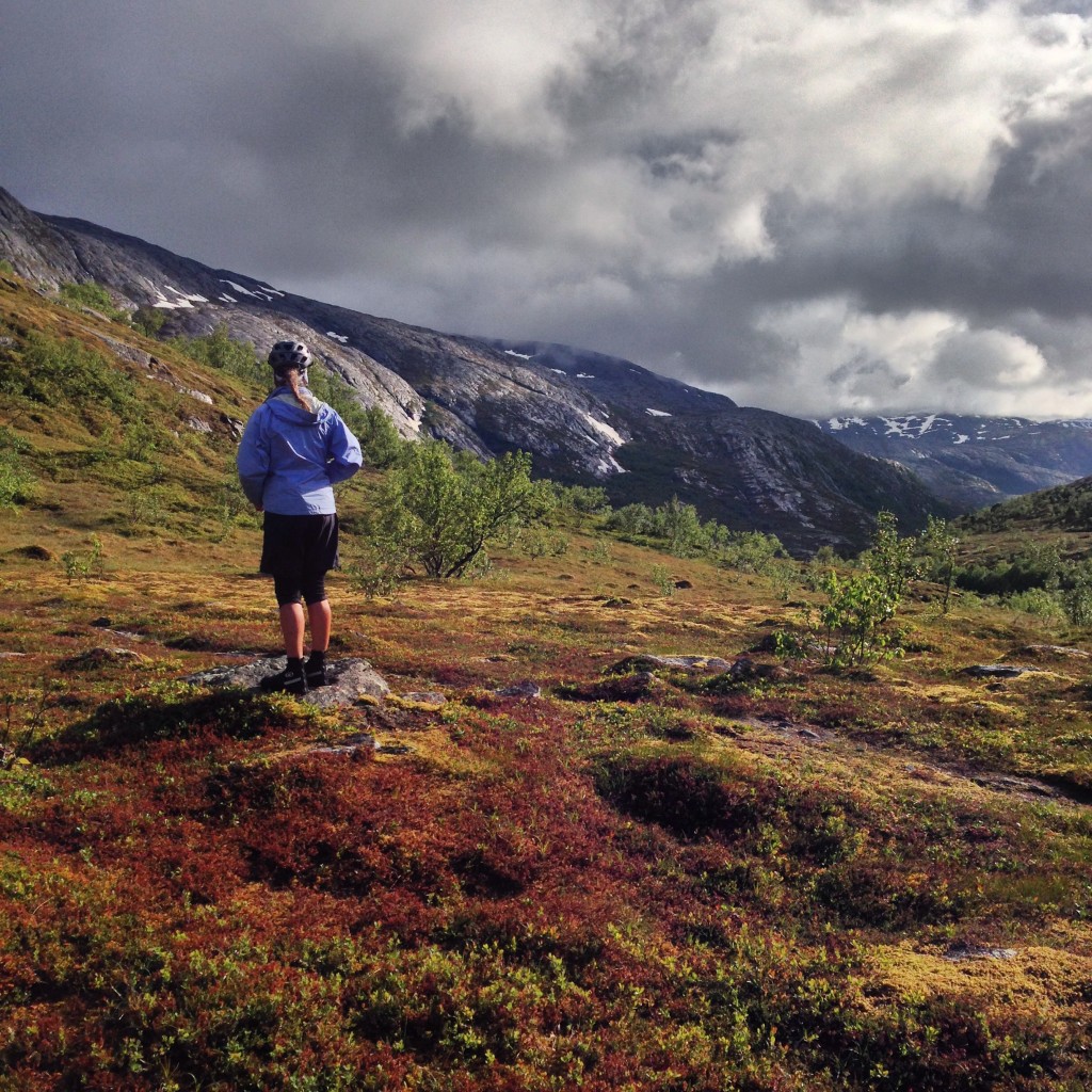 On the way to Tidevannstrøm