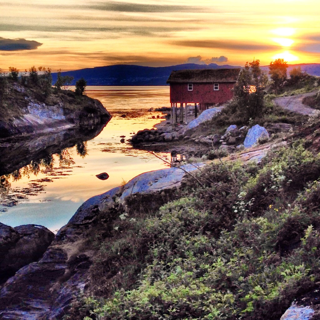 More views from Tidevannstrøm. Fantastic!