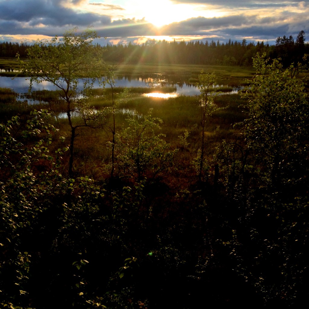 View from a Lintutorni