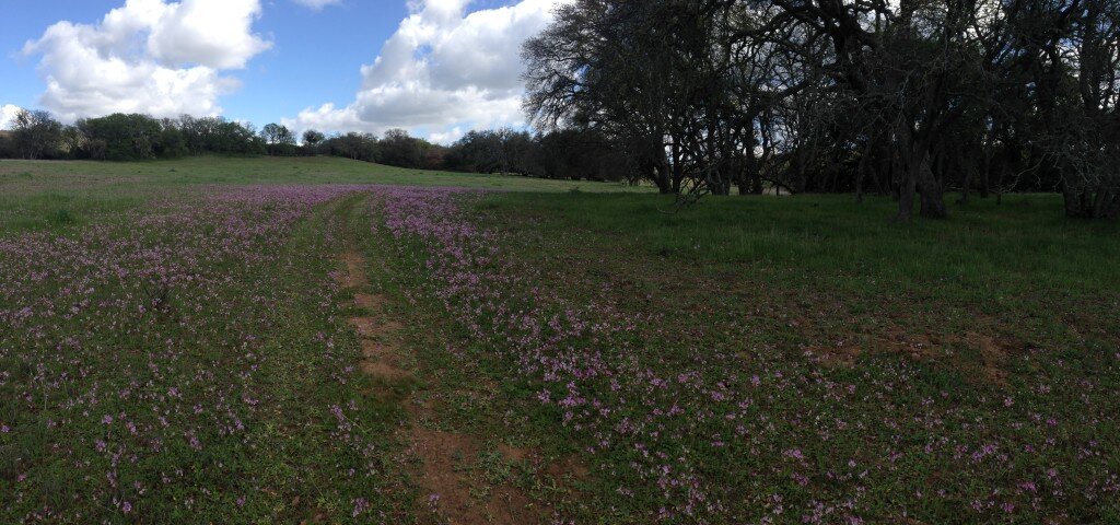 Caldwell Mesa - and amazing spot!