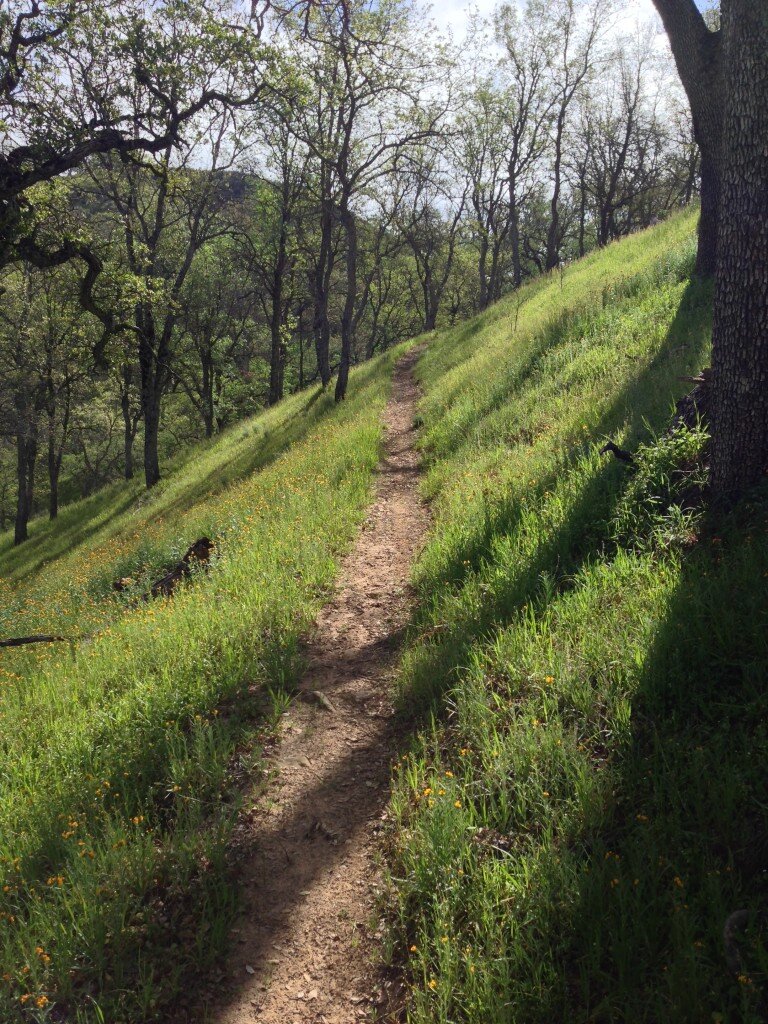 The Trail improves as you gain elevation.