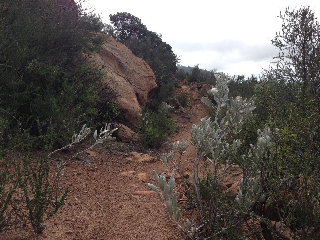 American Canyon Trail. As you gain elevation, it changes from Oak Woodland to Chaparral.