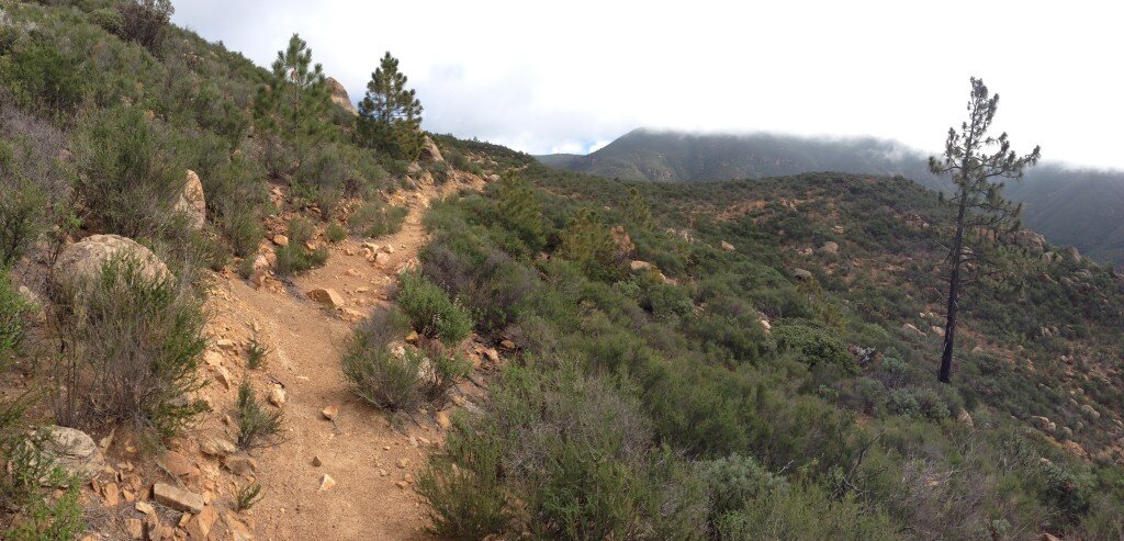 American Canyon Trail. As you gain elevation, it changes from Oak Woodland to Chaparral.