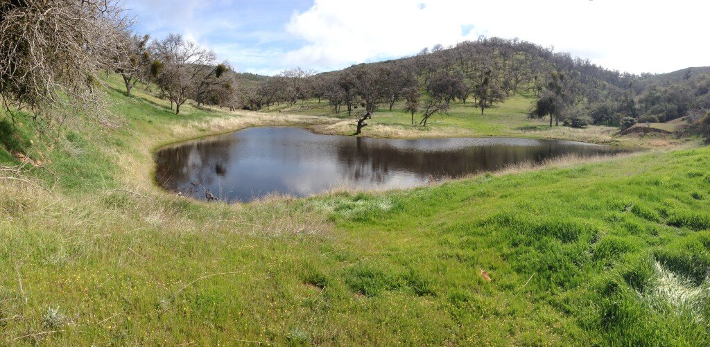 Unnamed pond at 3,794'