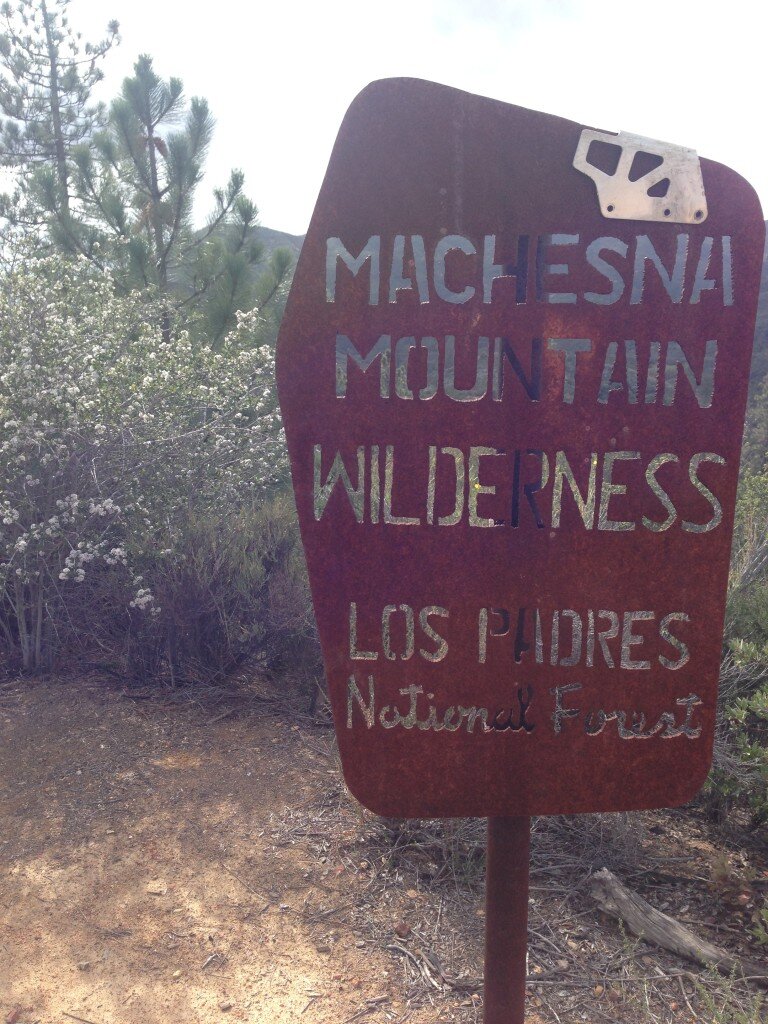 Entering Machesna Mountain Wilderness on the Pine Ridge side (Pozo Summit Side). In your vehicle, you can get as close as Pozo Summit. On the map, it may appear that you could drive South East on Pine Ridge here - but you'd need to be a super-expert 4WD driver (with a special vehicle certainly) to drive up the stair steps. Best to park at Pozo Summit. Another option would be to drive up to take East Pozo Road (dirt) to Placer creek road to Queen Bee Road to Pine Mountain Road. Most of this route is dirt, and although I have not done it, I have read that this route could be done in a 2WD vehicle.
