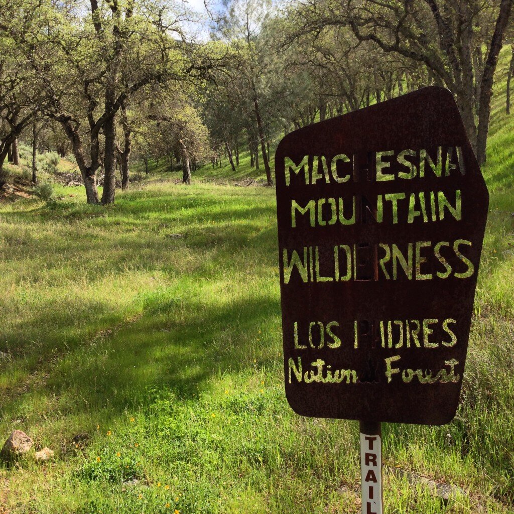 Entering the Machesna Mountain Wilderness from American Canyon Campground.