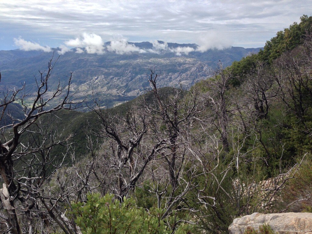 Taken from higher up on the Junipero Serra Summit Trail. 