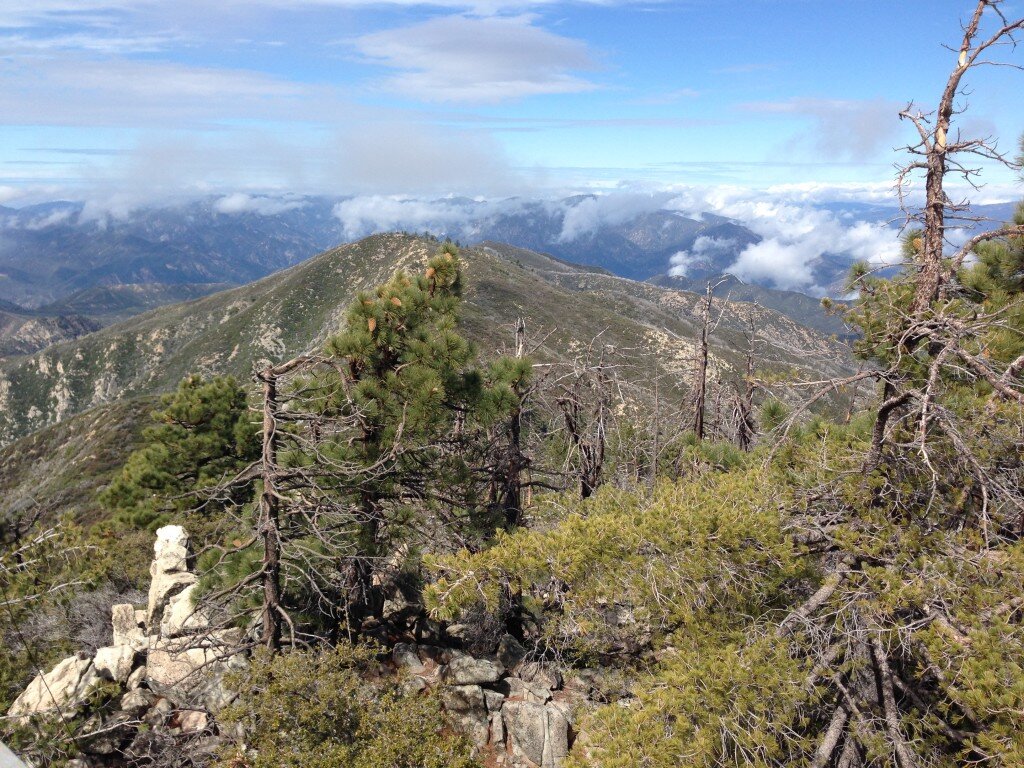 View to the North from Junipero Serra Peak