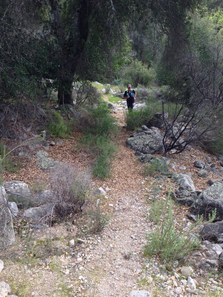 Down on the Santa Lucia Trail, the going is fast.