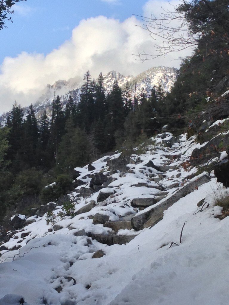 Along the Canyon Creek Trail