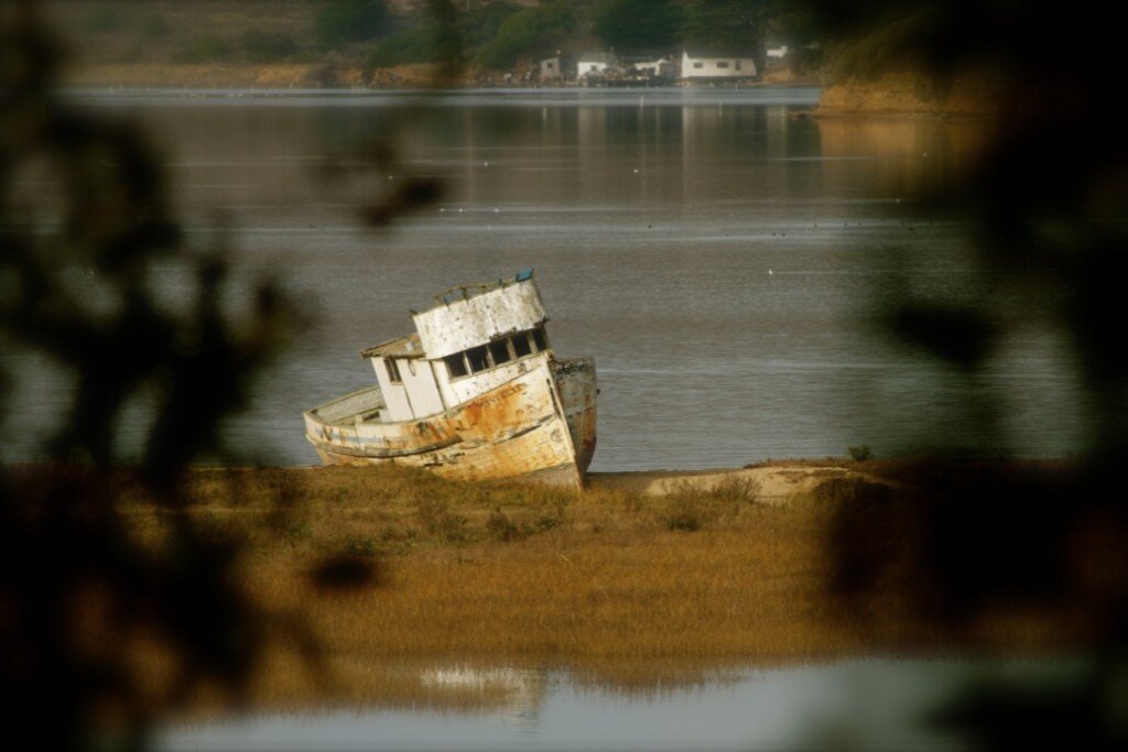 Boat Stuck in Mud at Tomales Bay
