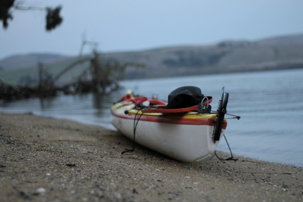 It is easy to land in several locations along the length of Tomales Bay