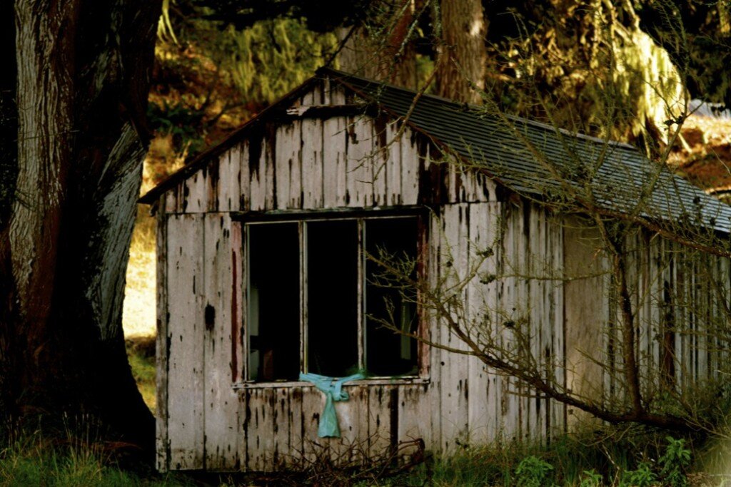 There are vestiges of old buildings along the West shore of Tomales Bay
