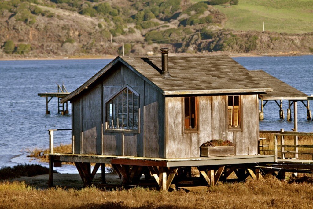 Old dock at inner Tomales Bay