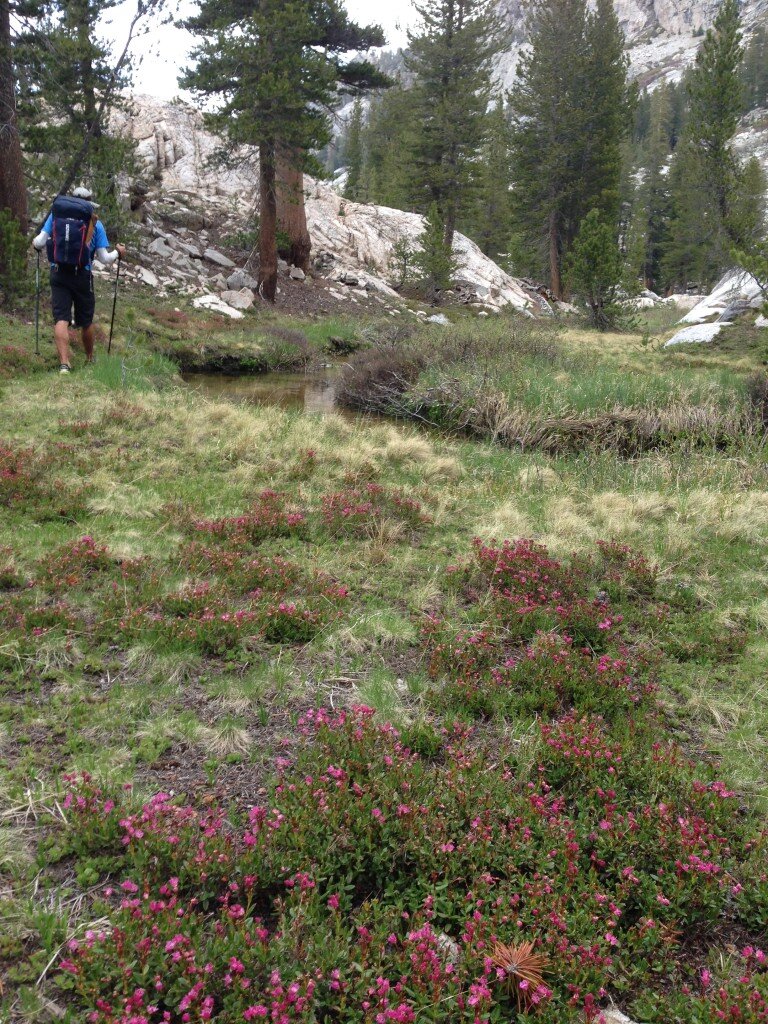 Beautiful Kennedy Canyon Trail
