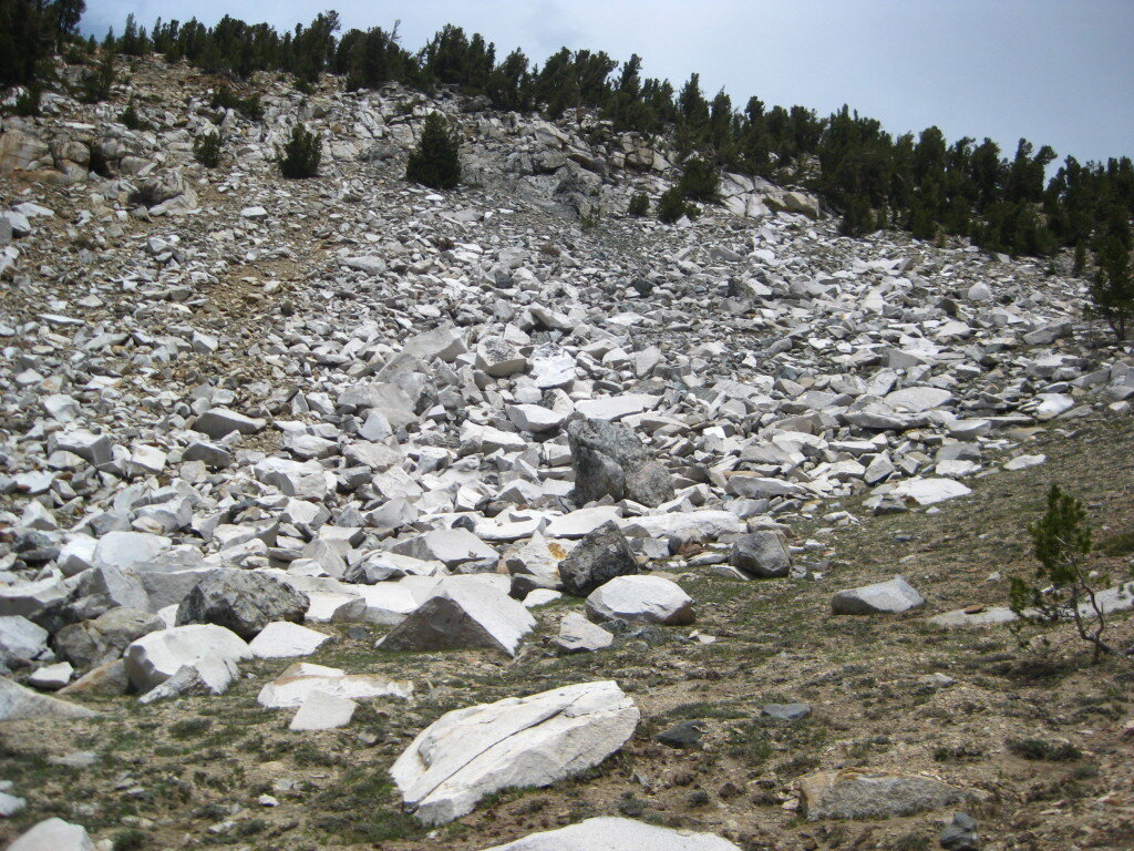 As you get higher towards Kennedy pass, you encounter Talus Slopes on the upper Lewis Creek Trail.